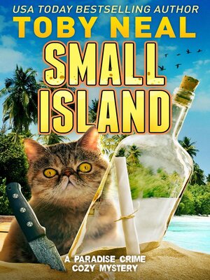 cover image of Small Island